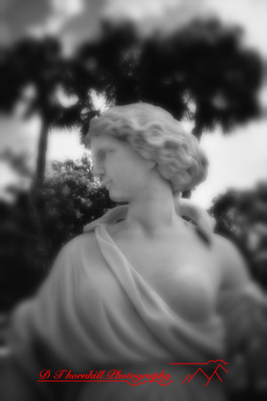florida - pinhole - 2022 - 024-nik-ps-ai