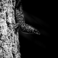 florida - 2022 - spring - 196_DxO