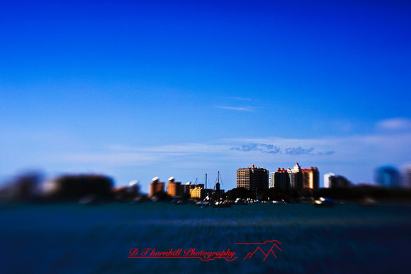 florida-2009-images_39.jpg