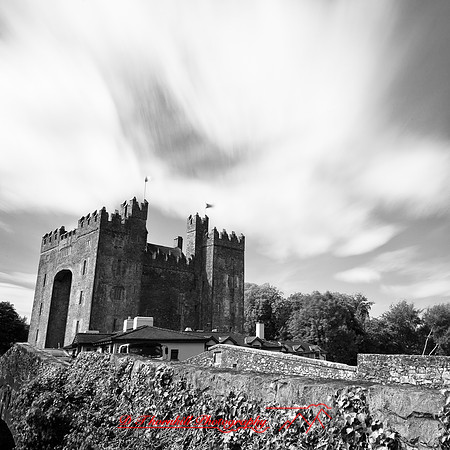 ireland-2013-480