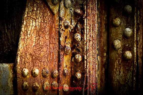 assorted_images-2012-125