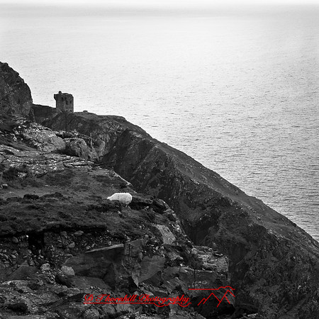 ireland-2013-129-nas