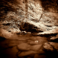 shadow-light-project-columbus-2013-08-nas