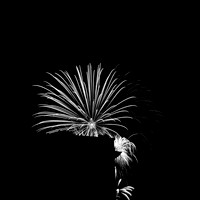 saginaw fireworks 2015 - infrared - 008