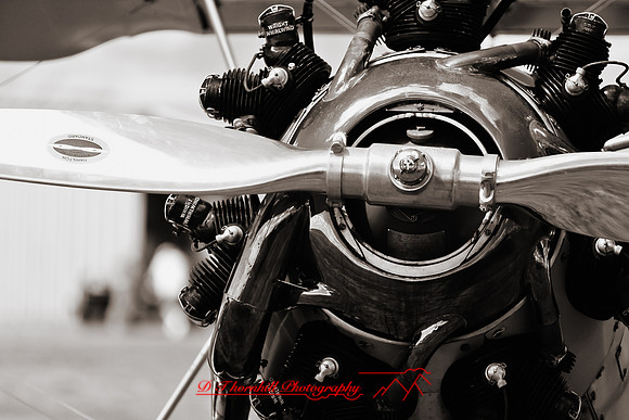 stearman-fly-in-2011-24-nas