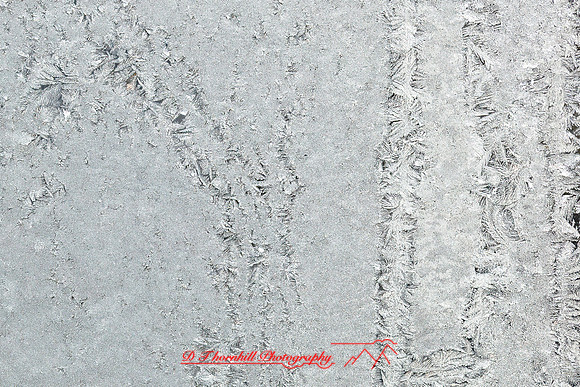 assorted_images-2011-177