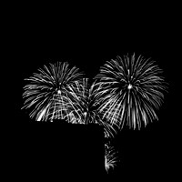 saginaw fireworks 2015 - infrared - 001