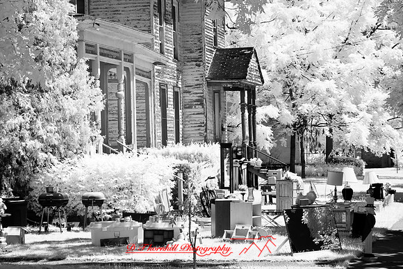 infrared-2008_024
