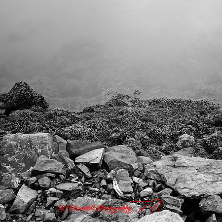 ireland-2013-111