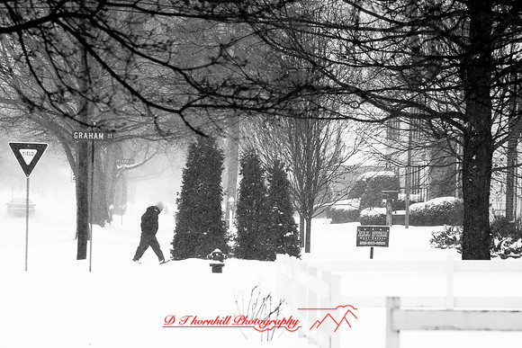 assorted_images-2009_013.jpg
