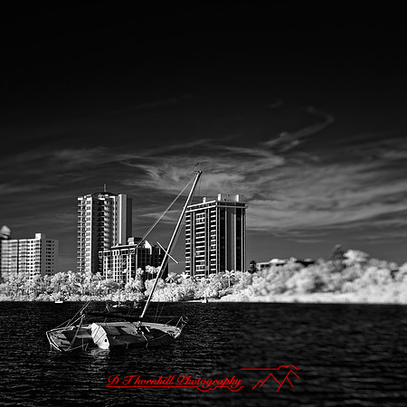 FL-March 2018-035_DxO