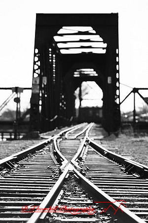 assorted-images-2010_004-nik