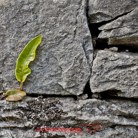 ireland-2013-211