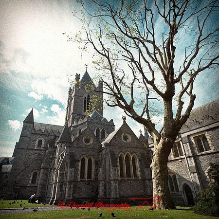 ireland-2013-378-nas