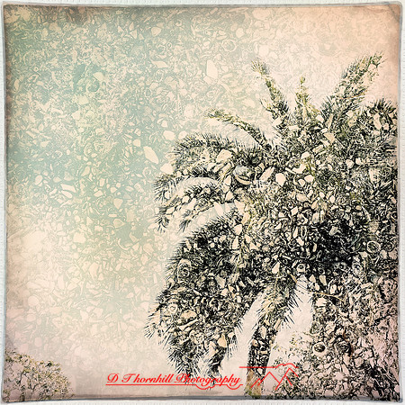 florida-march-2015-iphone-multi_exposure-019