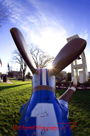 assorted-images-2006_62