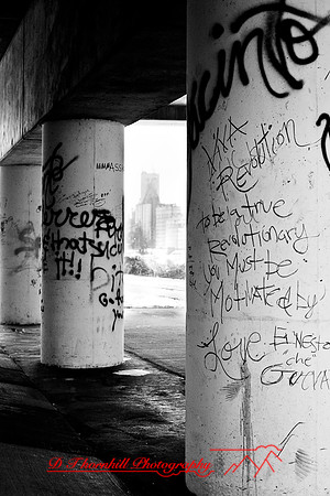 assorted_images-2008_29.jpg