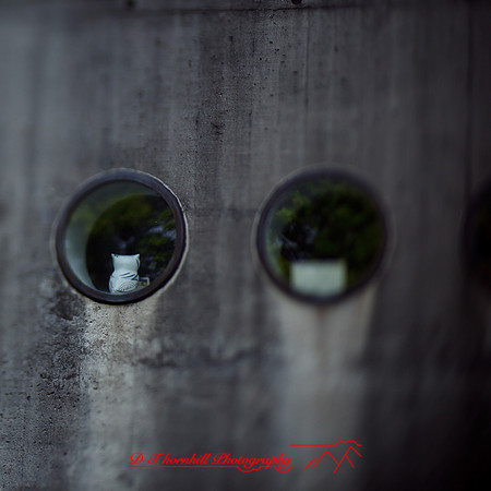 ireland-2013-361