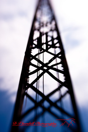 assorted_images-2009_039.jpg