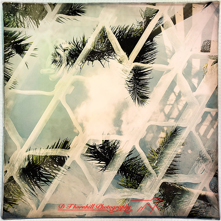 florida-march-2015-iphone-multi_exposure-011