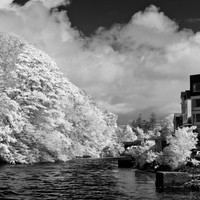 ireland-2013-267
