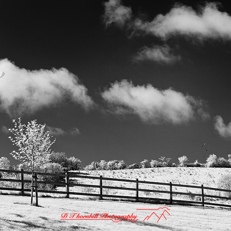 ireland-2013-265