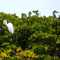 florida-2013-images-088