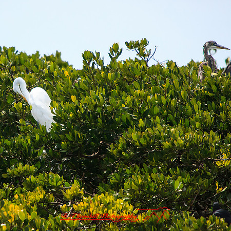 florida-2013-images-088