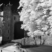 ireland-2013-424