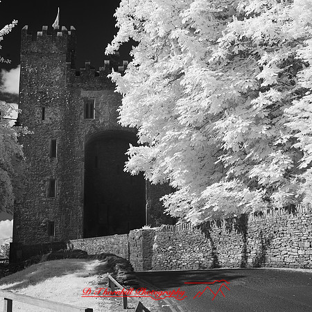 ireland-2013-424