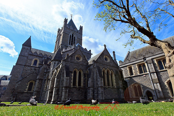 ireland-2013-377
