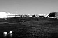 infrared-2009-bay-city_12.jpg