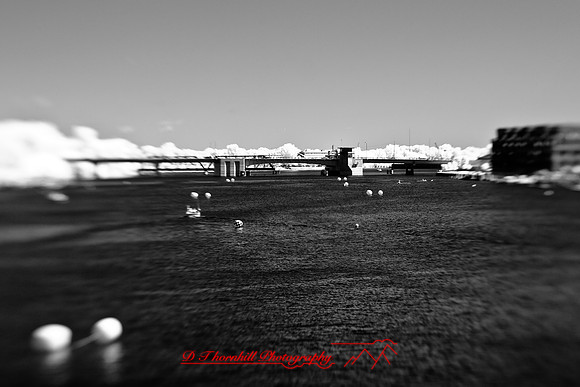 infrared-2009-bay-city_12.jpg