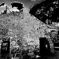 ireland-2013-442-nas