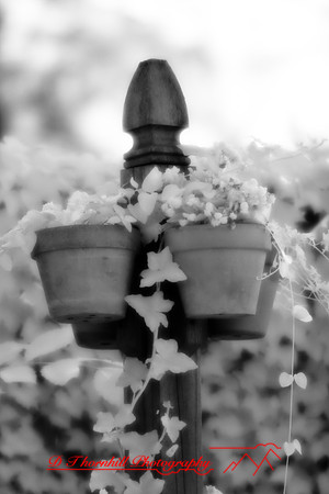 infrared-2008_031