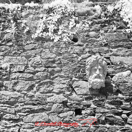 ireland-2013-440