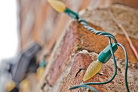 assored_images-2011-023