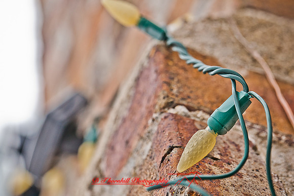 assored_images-2011-023
