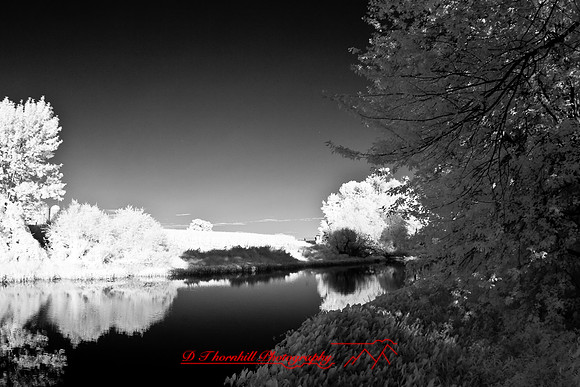 infrared-2008_108