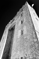 ireland-2013-430