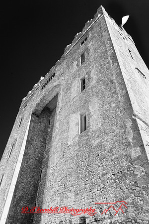 ireland-2013-430