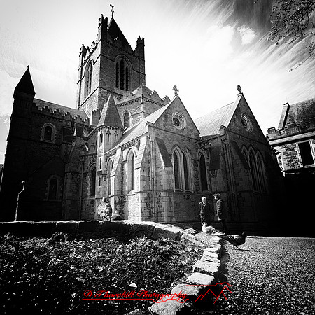 ireland-2013-376-nas