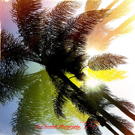florida-march-2015-iphone-multi_exposure-020