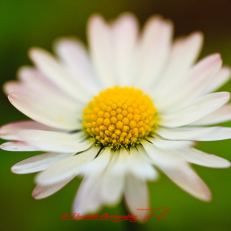 ireland-2013-205