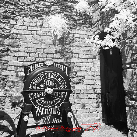 ireland-2013-444