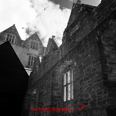 ireland-2013-279-nas