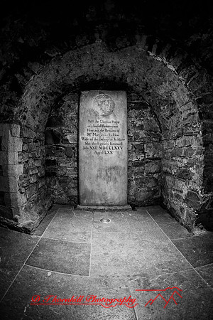 ireland-2013-423-nas