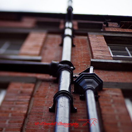 ireland-2013-356