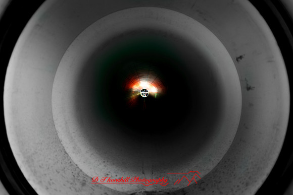 assorted_images-2011-176