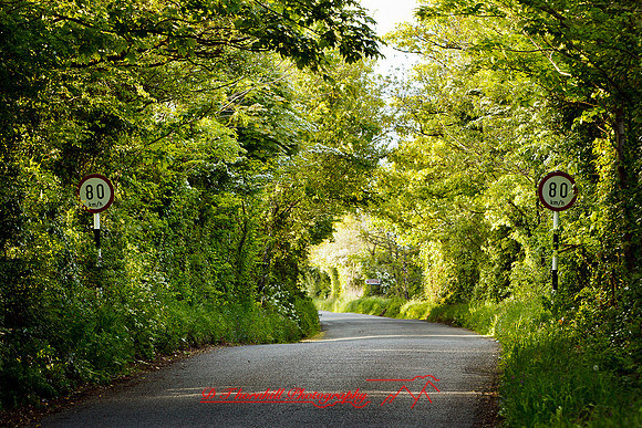 ireland-2013-343